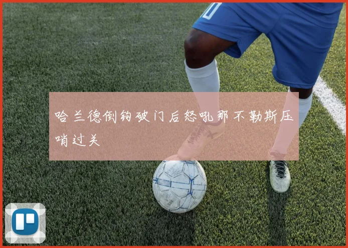 哈兰德倒钩破门后怒吼那不勒斯压哨过关