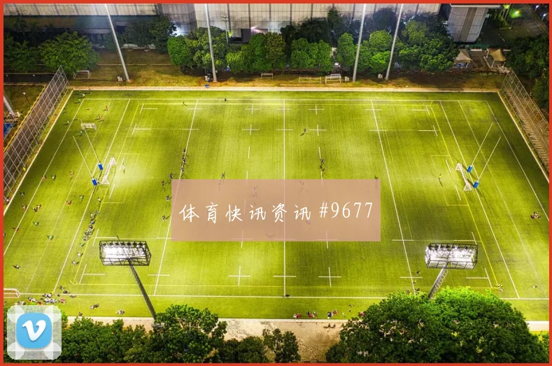 6月24日卡塔尔对波黑进攻效率