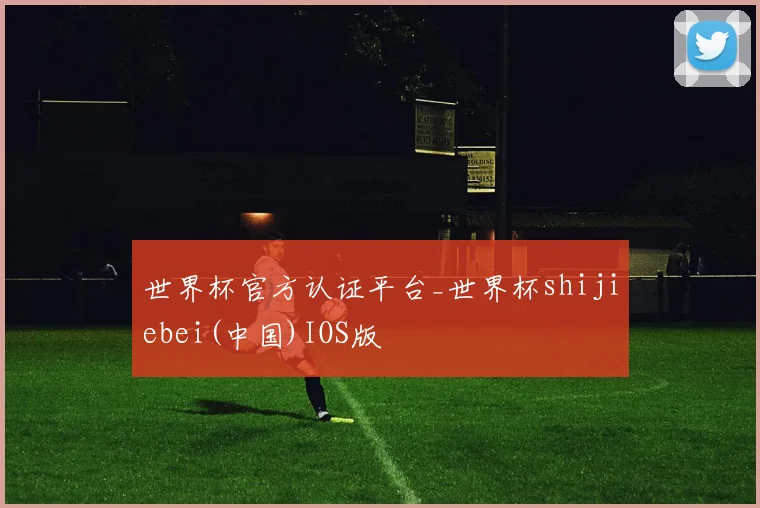 世界杯官方认证平台_世界杯shijiebei(中国)IOS版