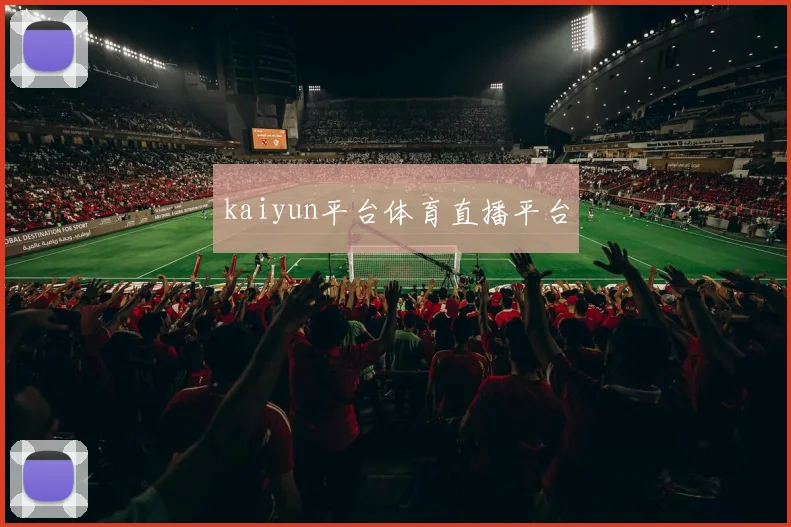 kaiyun平台体育直播平台