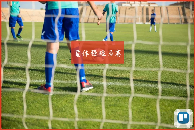 葡体强碰马赛