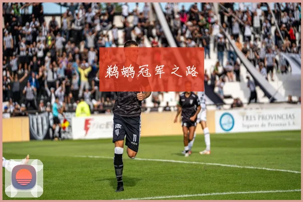 鹈鹕冠军之路
