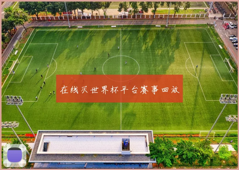 在线买世界杯平台赛事回放