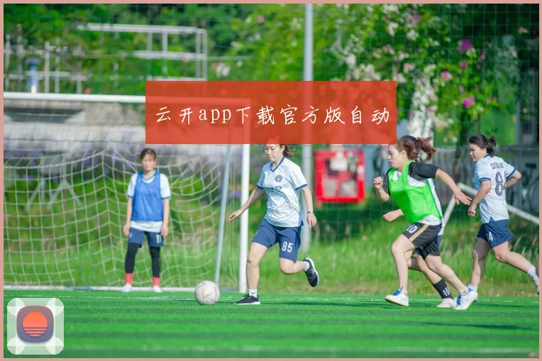 云开app下载官方版自动