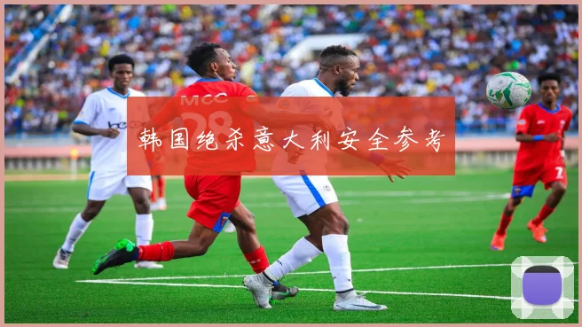 韩国绝杀意大利安全参考
