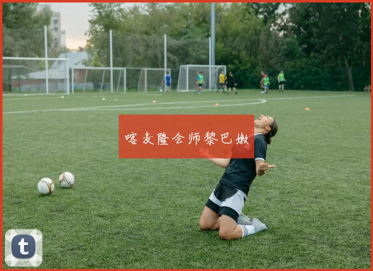 喀麦隆会师黎巴嫩