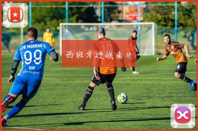 西班牙迎战南非