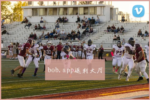 bob.app返利大厅