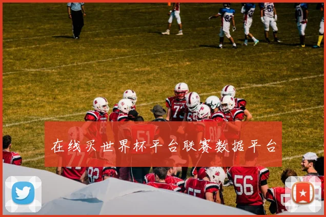 在线买世界杯平台联赛数据平台