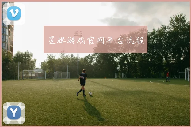 星辉游戏官网平台流程