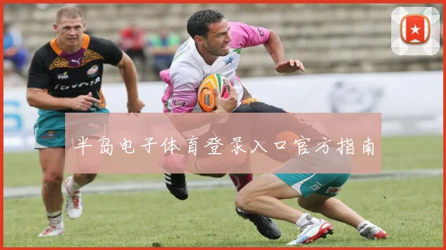 半岛电子体育登录入口官方指南