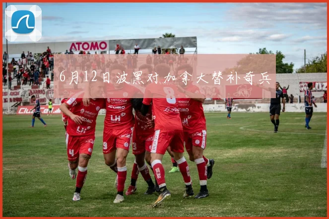 6月12日波黑对加拿大替补奇兵