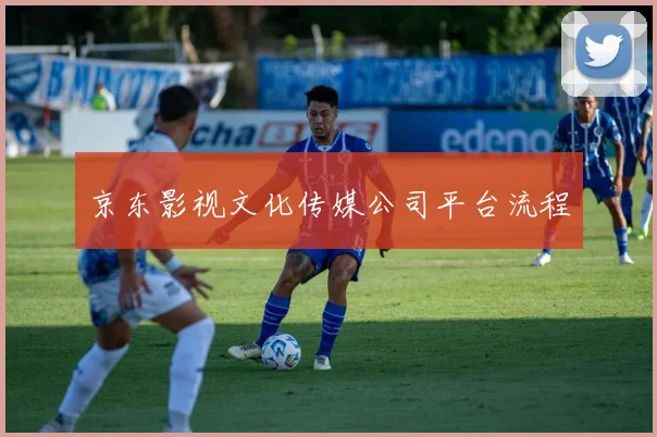 京东影视文化传媒公司平台流程