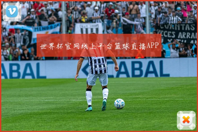 世界杯官网线上平台篮球直播APP