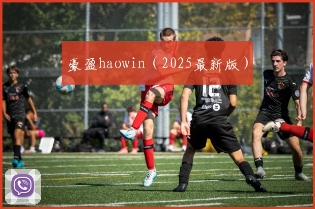 豪盈haowin（2025最新版）