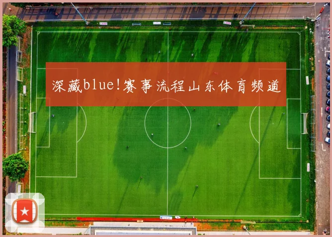 深藏blue!赛事流程山东体育频道