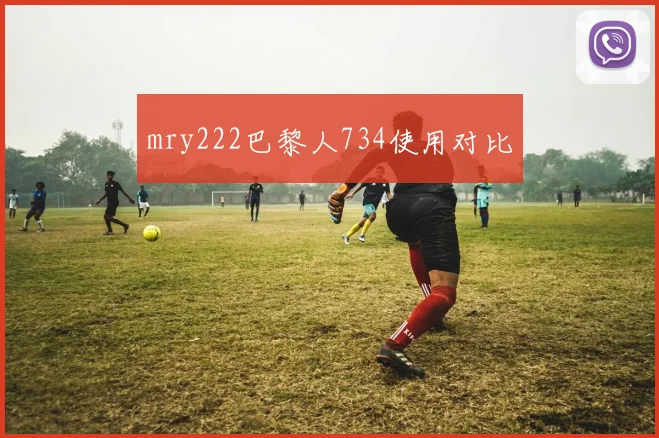 mry222巴黎人734使用对比