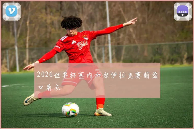 2026世界杯塞内加尔伊拉克赛前盘口看点