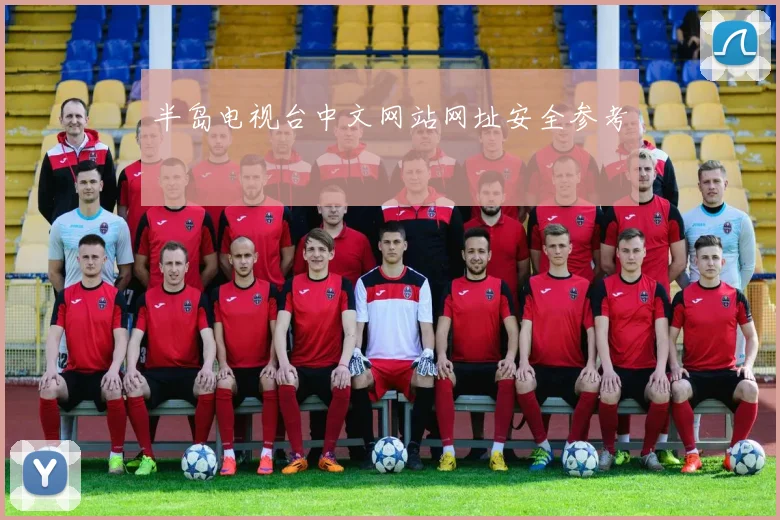 半岛电视台中文网站网址安全参考