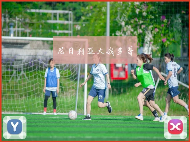 尼日利亚大战多哥