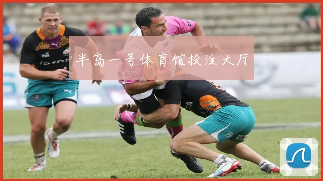 半岛一号体育馆投注大厅