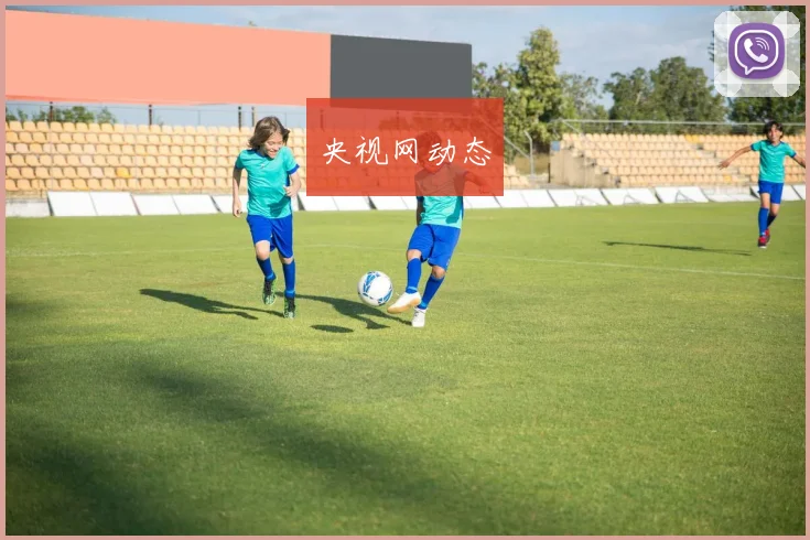 央视网动态
