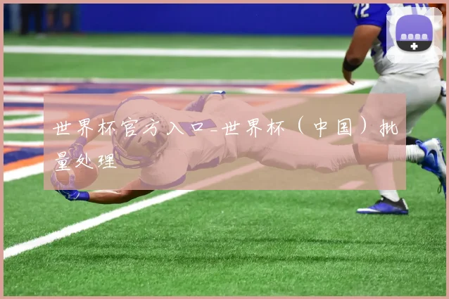 世界杯官方入口_世界杯（中国）批量处理