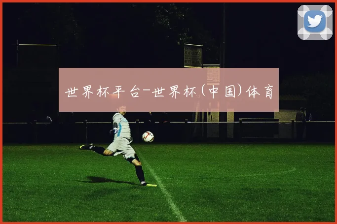 世界杯平台-世界杯(中国)体育