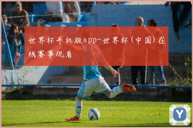 世界杯手机版app-世界杯(中国)在线赛事观看