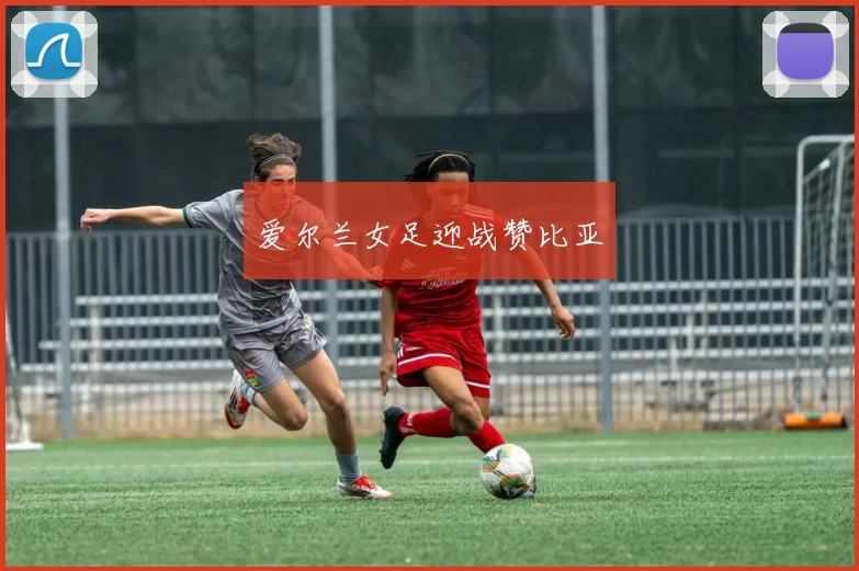 爱尔兰女足迎战赞比亚