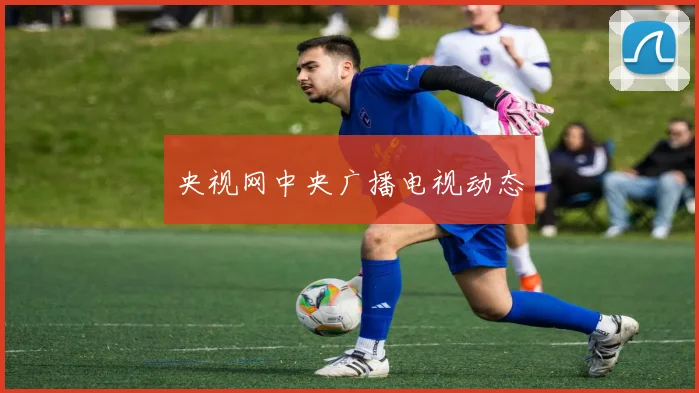 央视网中央广播电视动态
