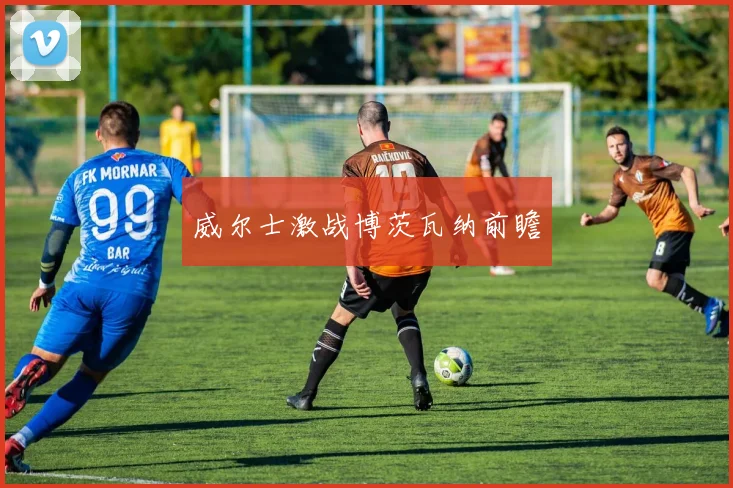 威尔士激战博茨瓦纳前瞻