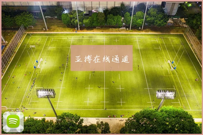 亚搏在线通道