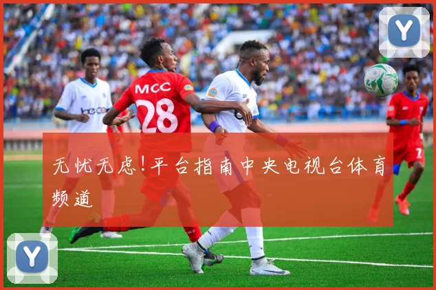 无忧无虑!平台指南中央电视台体育频道