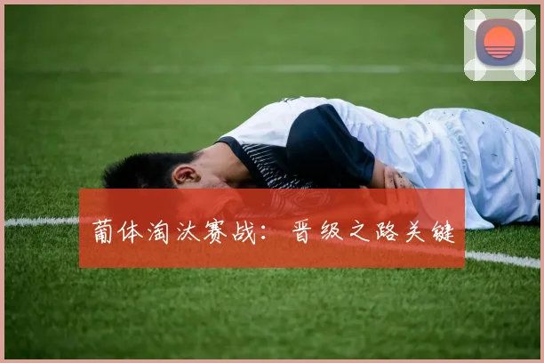 葡体淘汰赛战：晋级之路关键