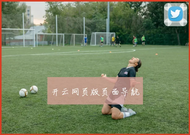 开云网页版页面导航