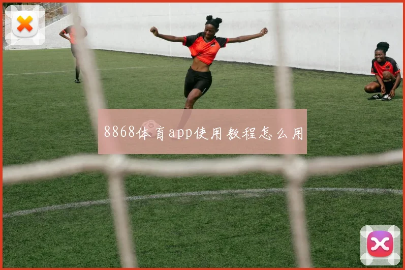 8868体育app使用教程怎么用